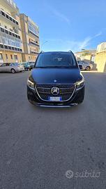 Classe V250 cdi EXTRALONG Avantgard