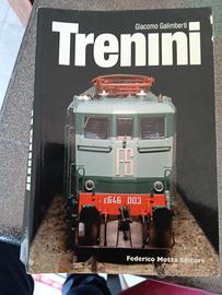 I TRENINI