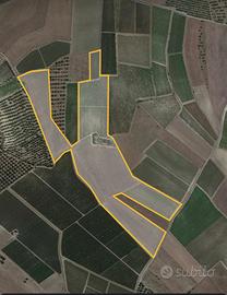 Terreno (Vigneto) nel comune di Serdiana