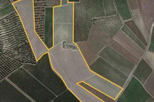 Terreno (Vigneto) nel comune di Serdiana