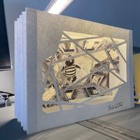 Tunnel Book o Libretto d'artista fatto a mano