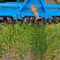 Fresa agricola Maletti