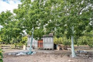 Terreno panoramico con fabbricato a Mascali