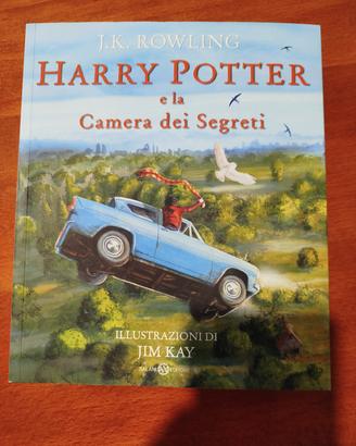 Harry Potter e la camera dei segreti JIM KAY