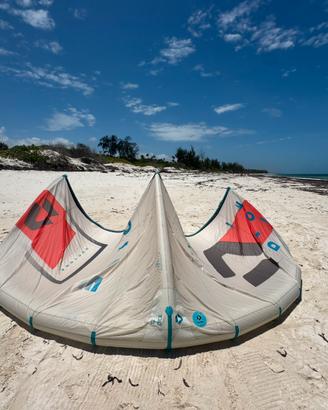 Kite 12m Dice 2020