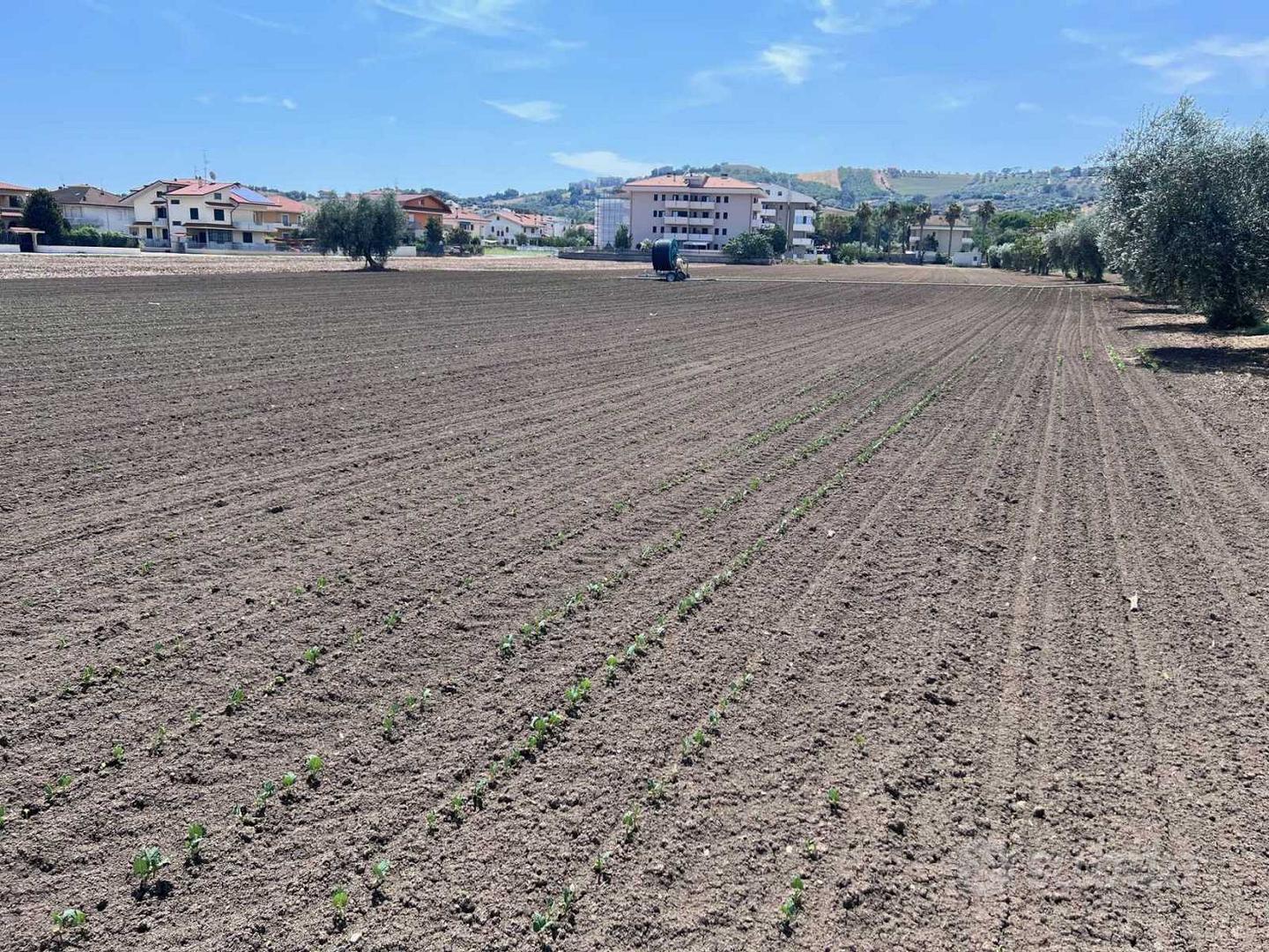 Terreni agricoli - Altro