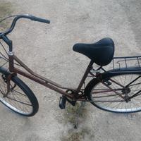 bici casedei olanda