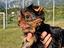 Immagine 4