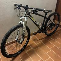 ktm ragazzo
