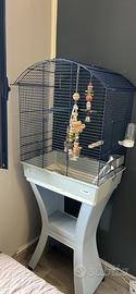 Gabbia per uccellini