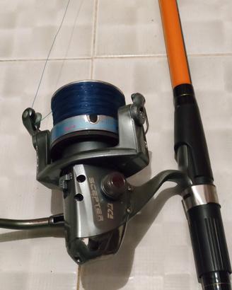 Canna da pesca e mulinello 