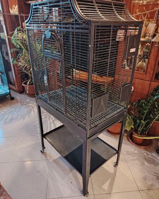 Voliera Montana Madeira I