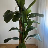 pianta artificiale