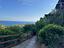 Immagine 10