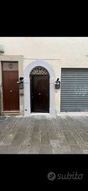 Mono / bilo in centro a campi