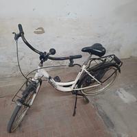 bici ruote 24