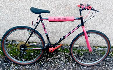 Bici Mountain bike modello Top Gun 