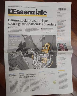 Zerocalcare l'essenziale 2022 con fumetto 