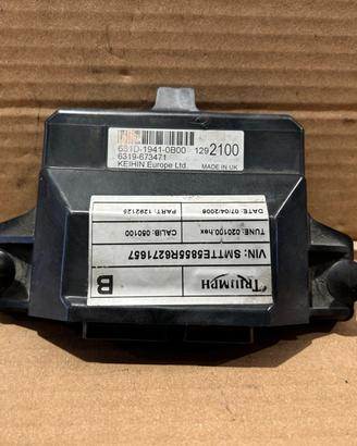 Centralina Originale Triumph Speed Triple 1050 200