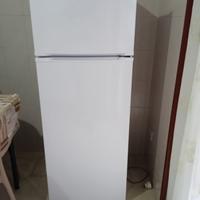 Frigo