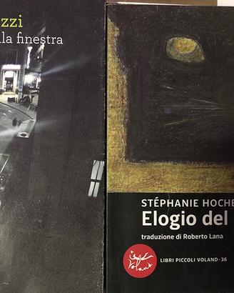 Libri Un gatto alla finestra ed Elogio del gatto