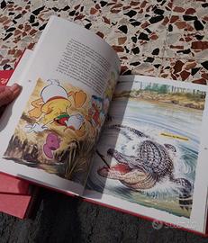 Cofanetto Disney "Avventure nella Natura "