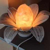Lampada di sale a forma di fiore