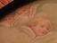 Immagine 5