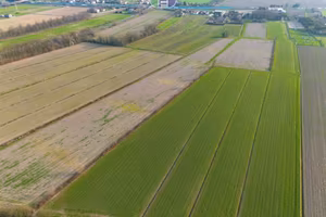 Terreno di 21850 m² a Pianiga