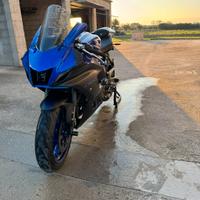 Yamaha R7 2022