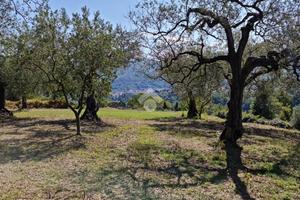 TER. AGRICOLO A SANT'AGATA DE' GOTI
