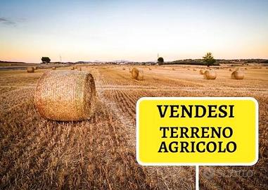 Terreno a Tramatza. Irriguo