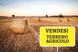 Terreno a Tramatza. Irriguo
