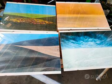 franco fontana foto 4 stagioni