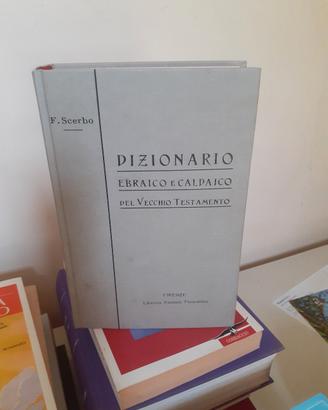 DIZIONARIO EBRAICO E CALDAICO DEL VECCHIO TESTAMEN