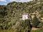 Immagine 10