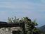 Immagine 11
