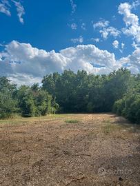 Terreno agricolo recintato a Prezza (AQ)