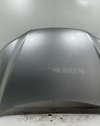 COFANO ANTERIORE HYUNDAI Santa Fe 2° Serie 664002