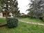 Immagine 5