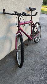 Bicicletta Viola
