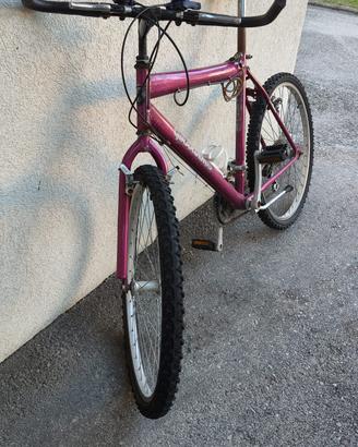 Bicicletta Viola