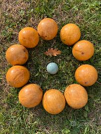 Bocce di legno per arredo o gioco