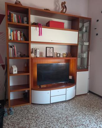 Mobile sala libreria/Tv