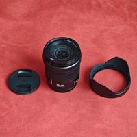 obiettivo Lumix S 20 60