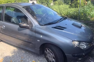 Peugeot 206 1.4 hdi 2004