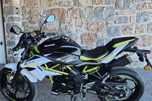 Kawasaki Z125