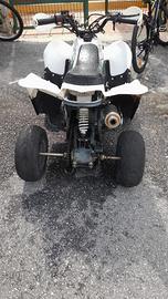 Lem Altro modello - 2018