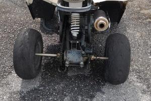 Lem Altro modello - 2018