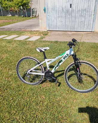 Bicicletta bambino